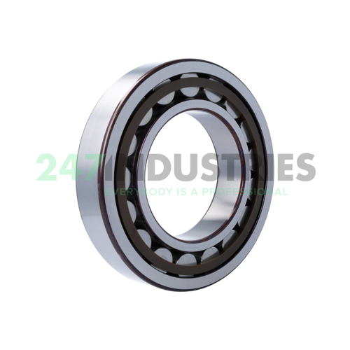 NU224ECP/C3 SKF Image 2