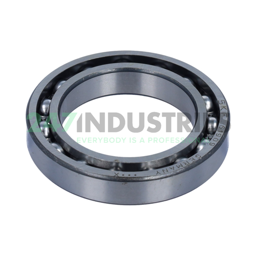 61909 SKF