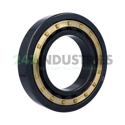 NJ224-E-XL-M1-J30PC-C3 FAG