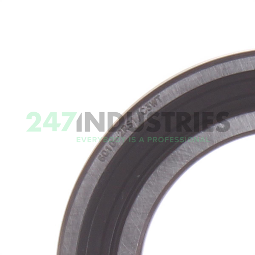 6010-2RS1/C3WT SKF Image 2