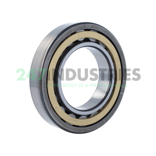 NU218-E-XL-M1-F1-C4 FAG Image 2