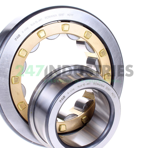 NJ415-M1 FAG Image 2