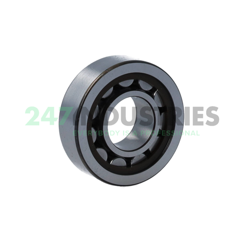 NJ203ECP/C3 SKF Image 2