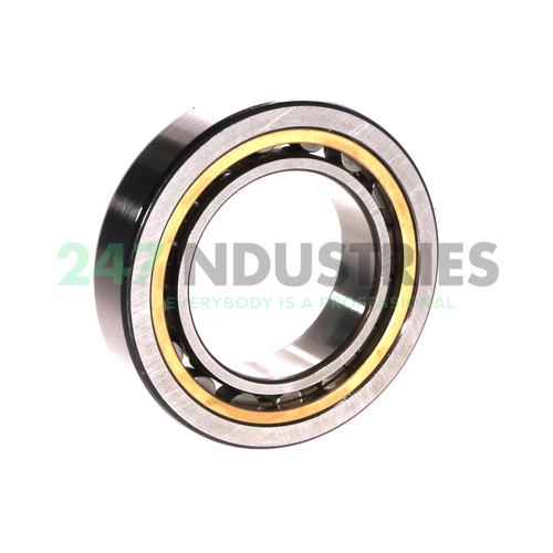 NU1008ML SKF Image 2