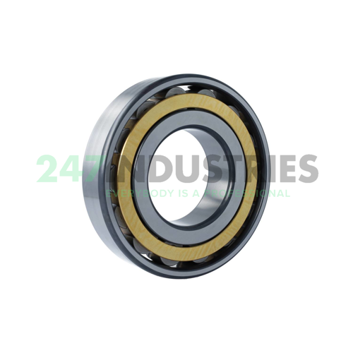 N319-E-XL-M1-C3 FAG Image 2