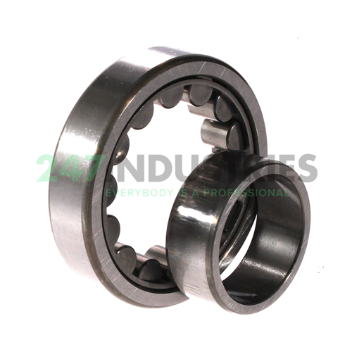 NU207EWKC3 NSK Image 3