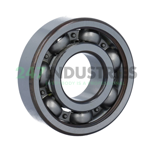 6305.P63 FAG Image 2