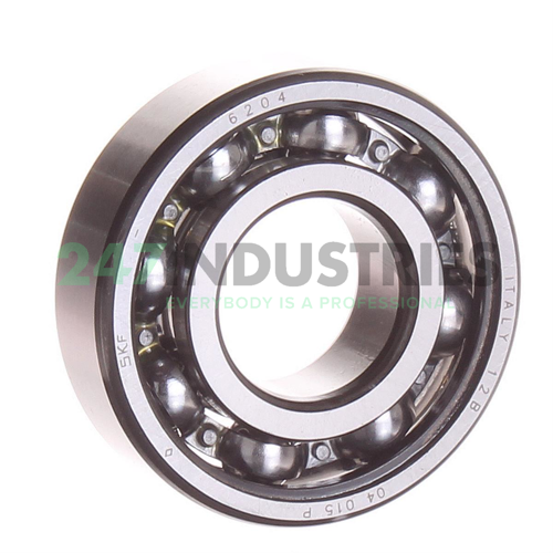 6204 SKF
