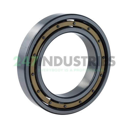 6016-M-C4 FAG Image 2