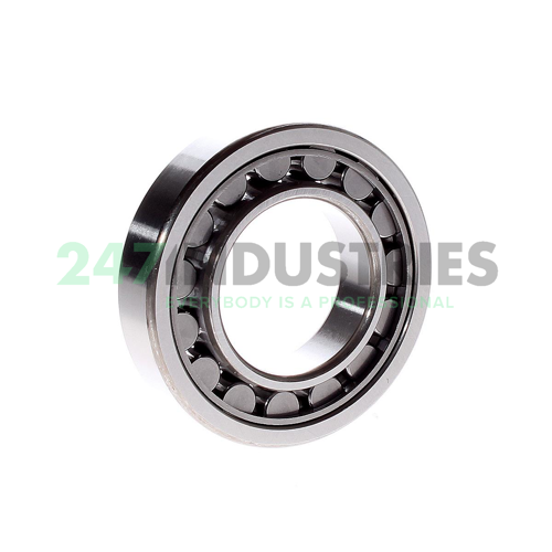 NU209EW C3 NSK Image 3