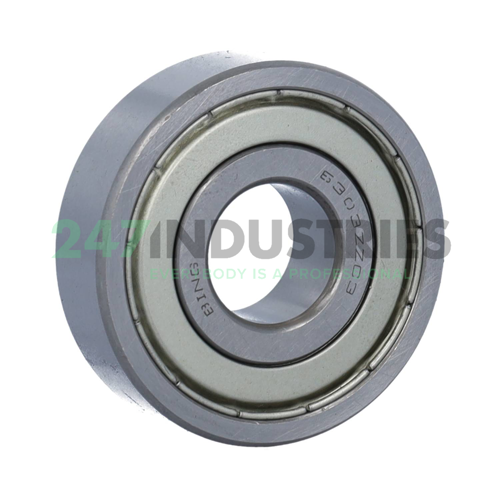 6303ZZ C3 Bing Netherlands