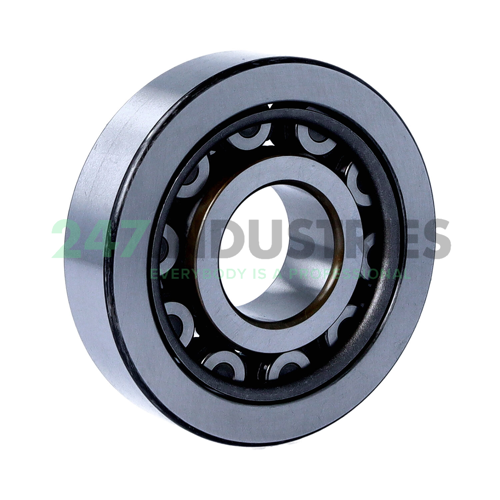 NU407WC3 NSK Image 2