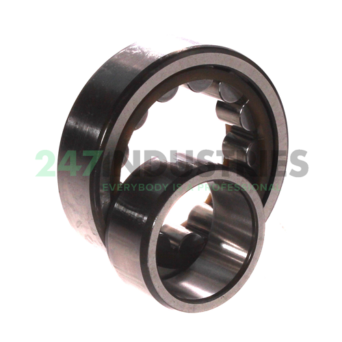 NU205ECP/C3 SKF Image 3