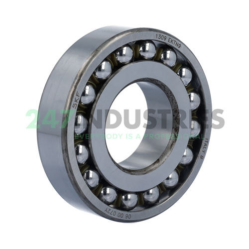 1309EKTN9 SKF