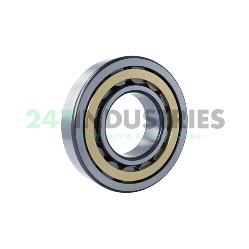 NU319-E-XL-M1-F1-C4 FAG Image 2