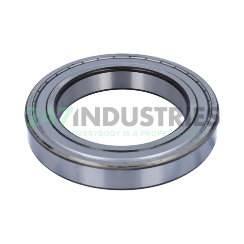 6024-2Z SKF Image 2