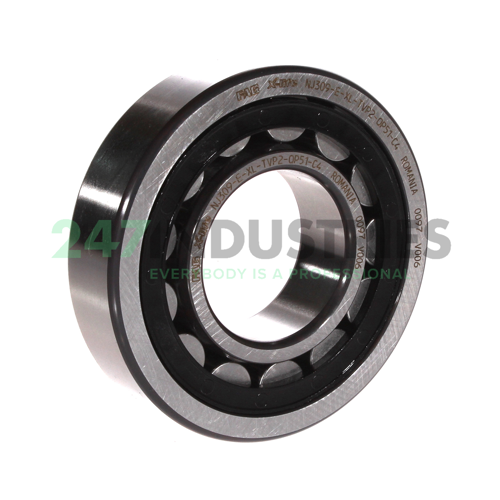 NJ309-E-XL-TVP2-QP51-C4 FAG