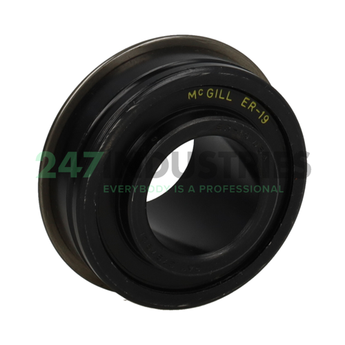 ER206-19 McGill Image 2