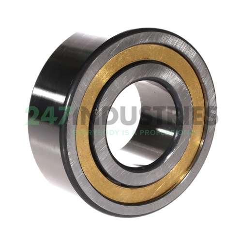 NJ2310-E-M1A-C3 FAG Image 2