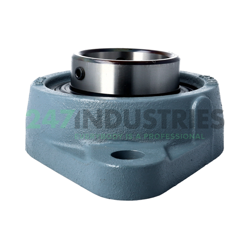 UCFL216 Asahi Image 3