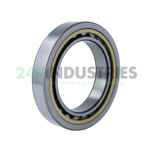 NU1017ML SKF Image 2