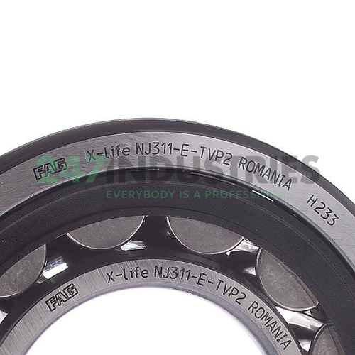 NJ311-E-TVP2 FAG Image 3