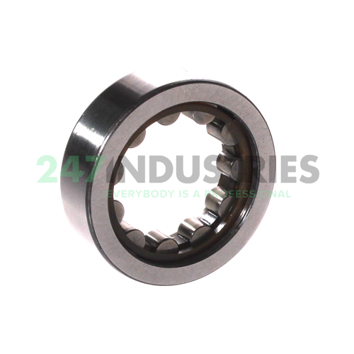 RNU203TN9 SKF Image 2