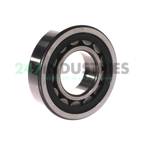 NU310E.TVP2.C4 FAG Image 2