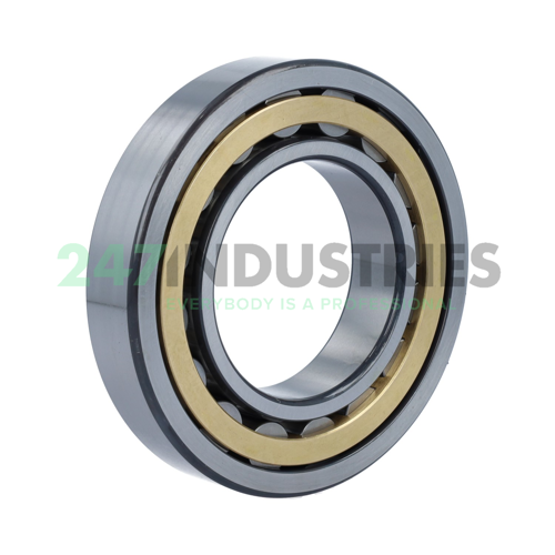 NU213-E-XL-M1 FAG Image 2