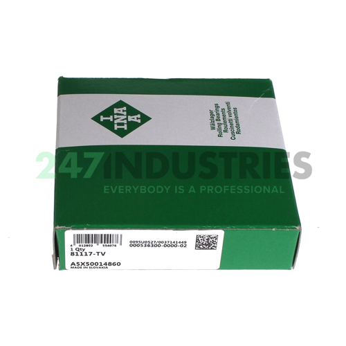 81117-TV INA Image 5