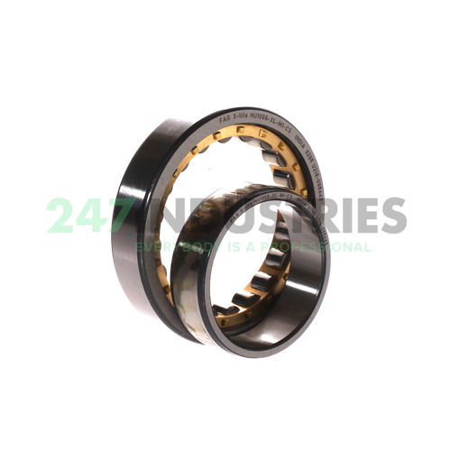 NU1009-XL-M1-C3 FAG Image 2