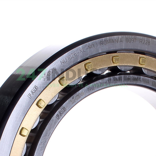 NU1026-XL-M1 FAG Image 2