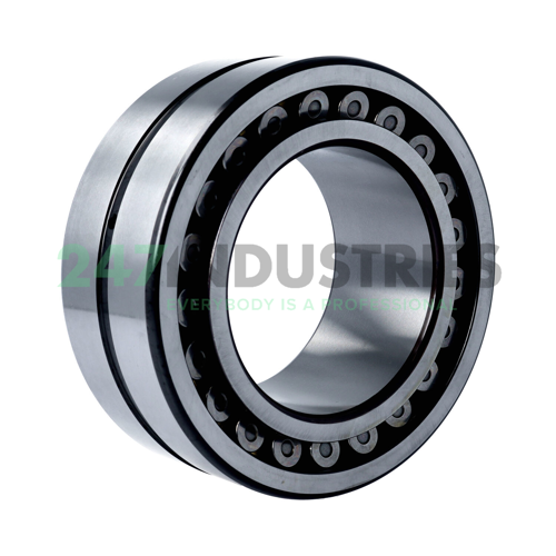 24120CAME4S11 NSK Image 2