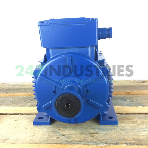 A4C1142A00016 Marelli Motori Image 4