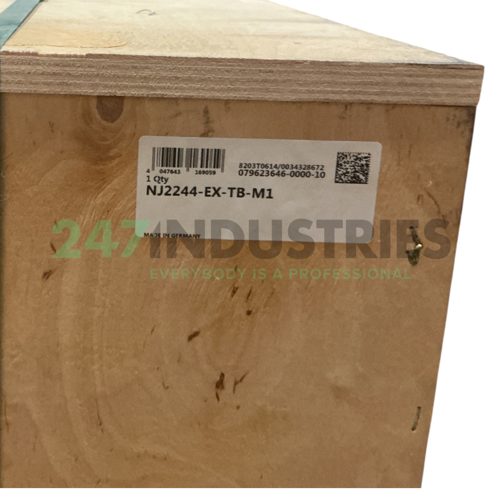 NJ2244-EX-TB-M1 FAG Image 3