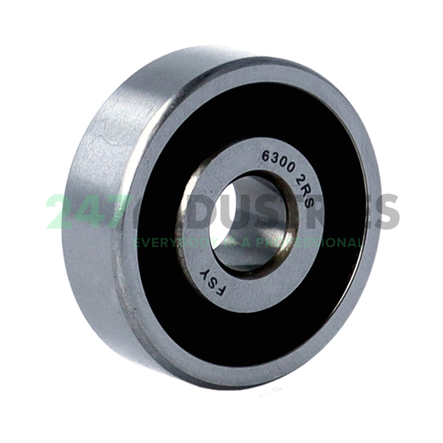 6300 2RS FSY