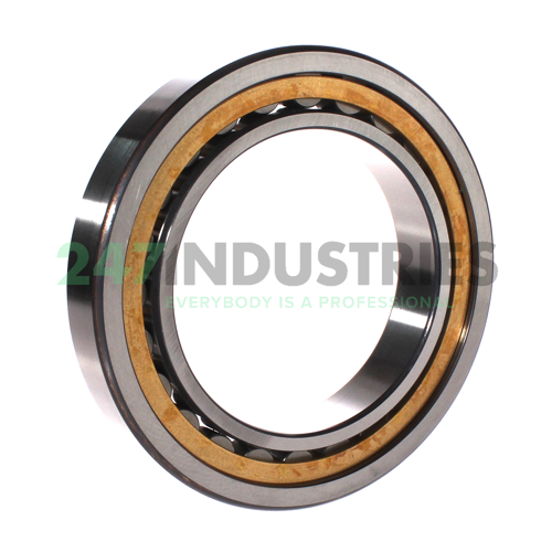 NU1022-XL-M1A-P5-C4 FAG Image 3