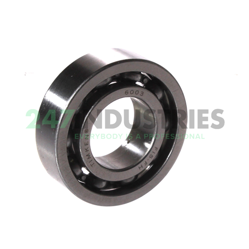 6003 Timken