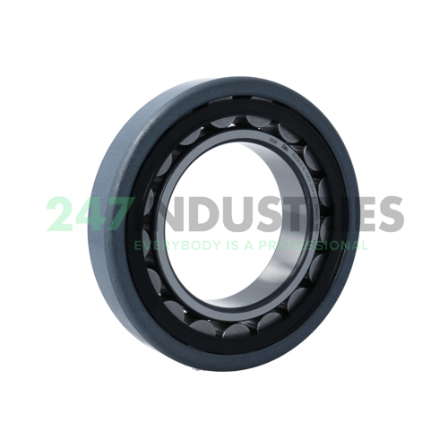 NU218-E-XL-TVP2-J20A-C3 FAG