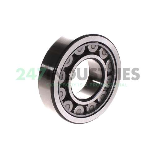 NU308ECJ SKF Image 2