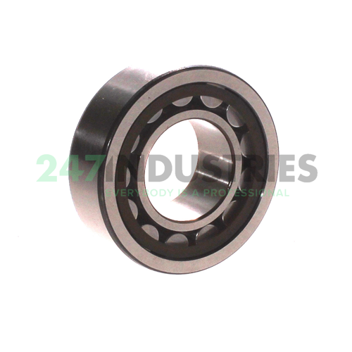 NU2206ECP/C3 SKF Image 2