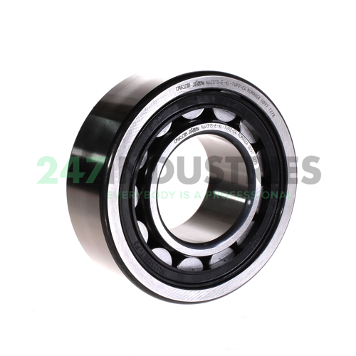 NJ2313-E-XL-TVP2-C4 FAG