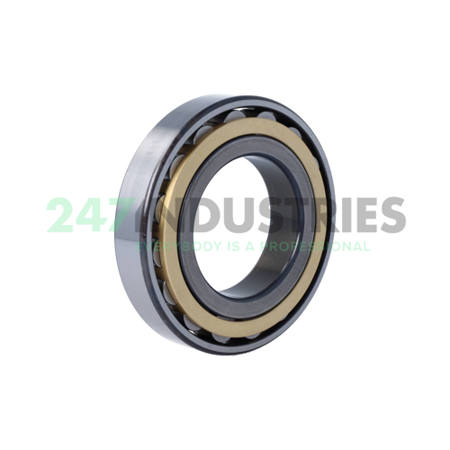 N213-E-XL-M1-C4 FAG Image 2