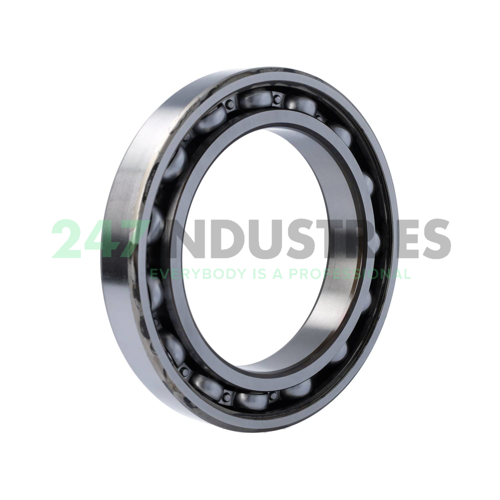 6024-RS1 SKF Image 2