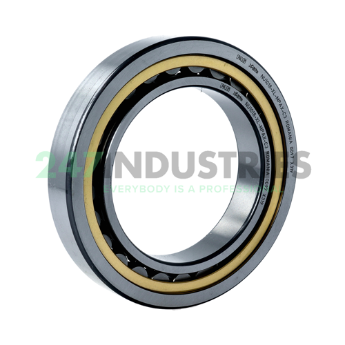 NU1018-XL-MPAX-C3 FAG Image 2