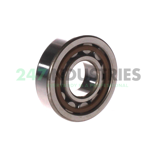 NU305ET2X C3 NTN Image 3