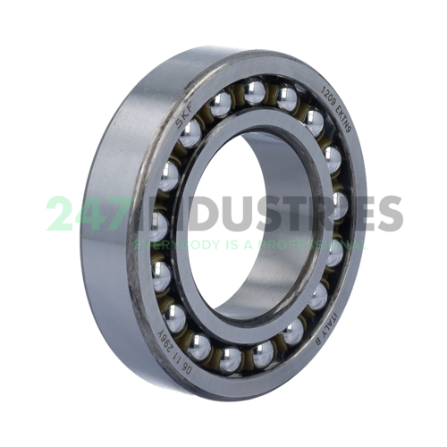 1209EKTN9 SKF