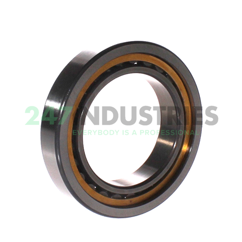 NU1012-XL-M1A-C3 FAG Image 2