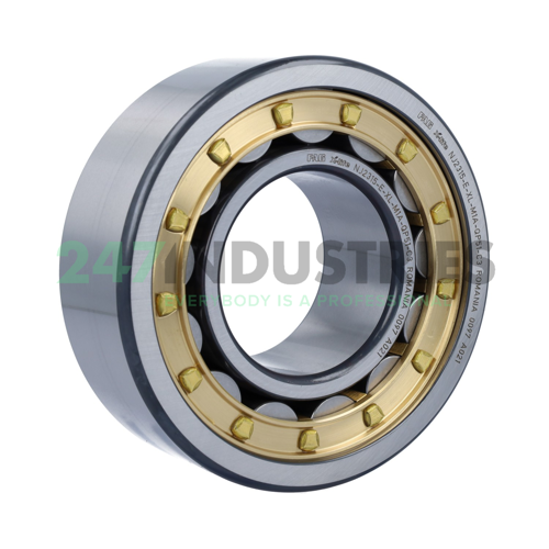 NJ2315-E-XL-M1A-QP51-C3 FAG