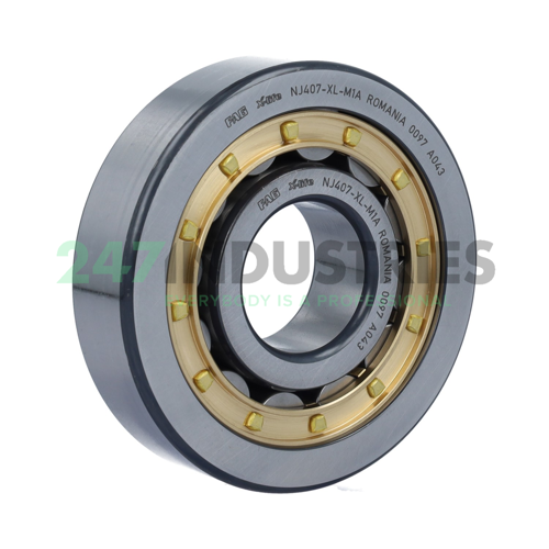 NJ407-XL-M1A FAG